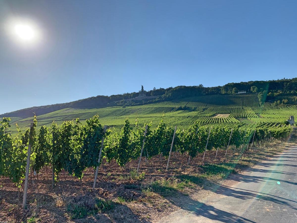 Fewo Zur Goldenen Traube Rüdesheim am Rhein Extérieur photo